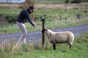 Andrea meets a local.